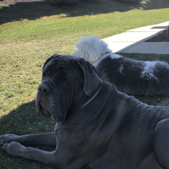 Meet your Posher, Becca - Picture 4 of 5